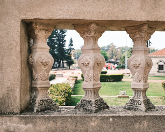 a view of a park through a window