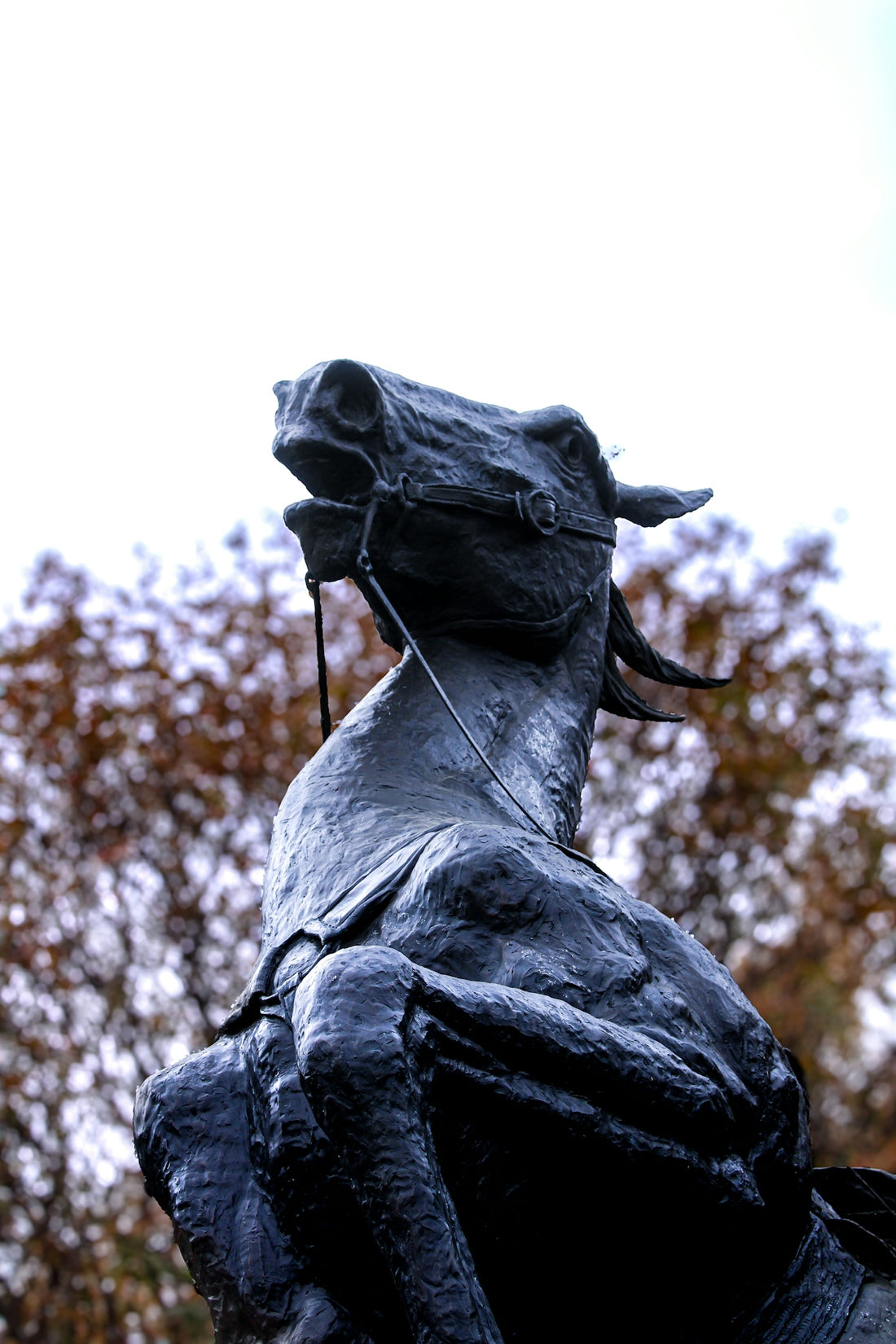 A statue of a person riding a horse