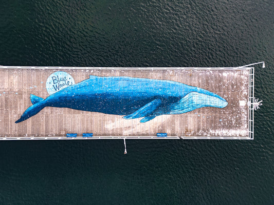 Whale mural painted on a wooden pier over water