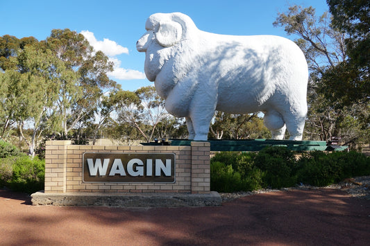 Giant sheep statue in wagin, australia