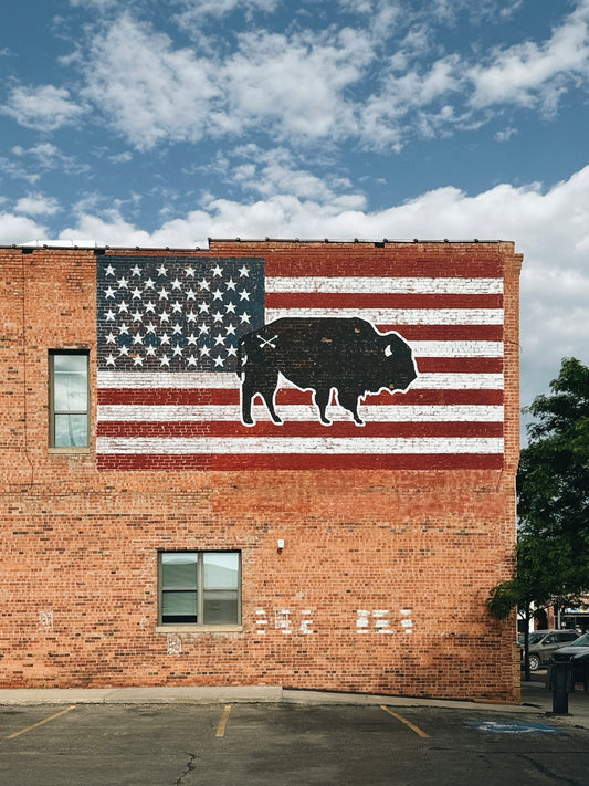 American flag and bison mural on a weathered brick building.