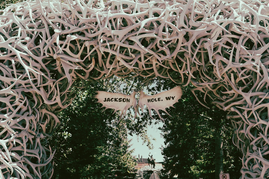 Antler arch with a jackson hole, wy sign