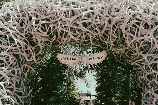 Antler arch with a jackson hole, wy sign