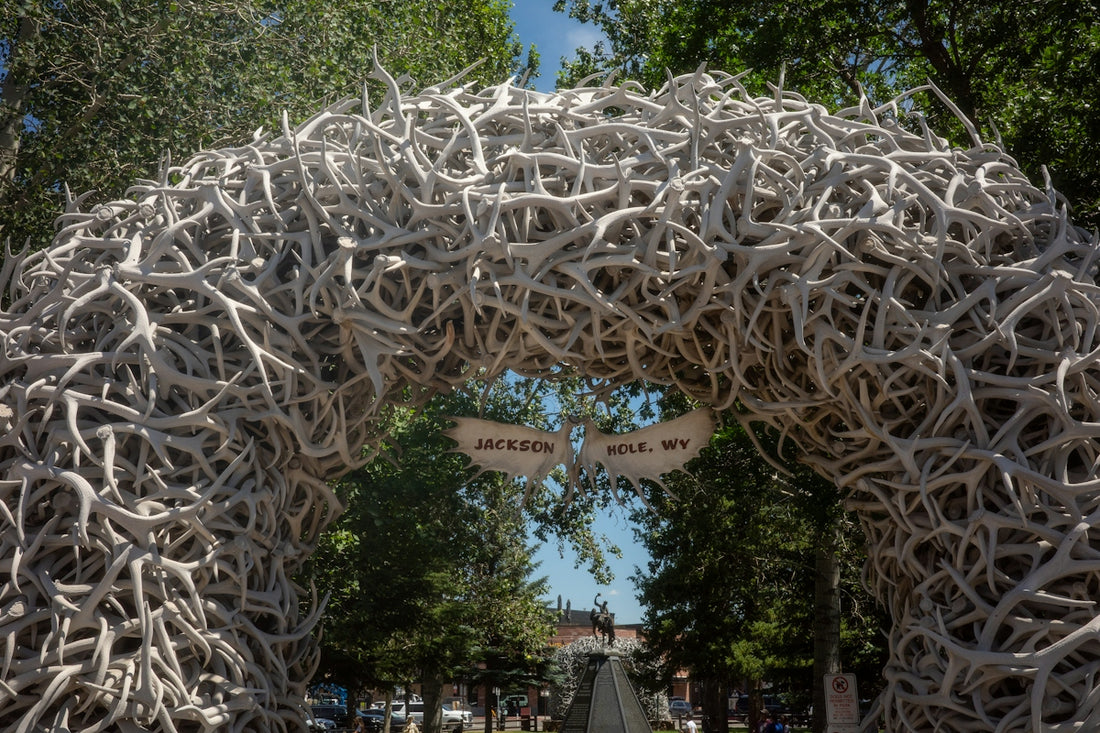 An archway made of antlers with a jackson hole sign.